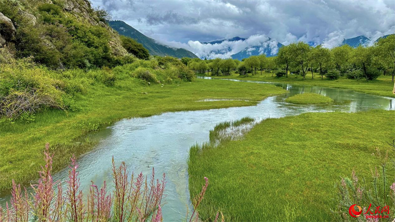 Xizang : à la découverte du Parc national des zones humides de Yani