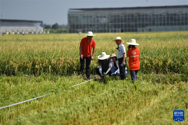 (Chen Zhenhai / Xinhua)