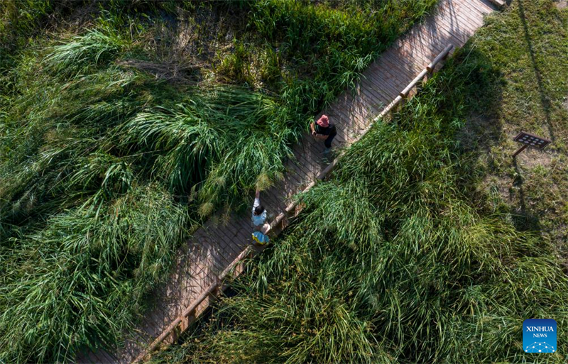 Ningxia : Wuzhong attire les touristes grâce à l'amélioration de son environnement écologique