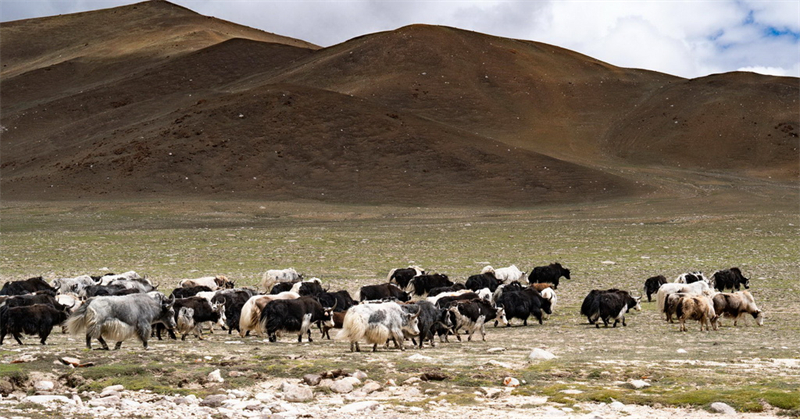 Xizang : la source de la magnifique rivière Yarlung Zangbo