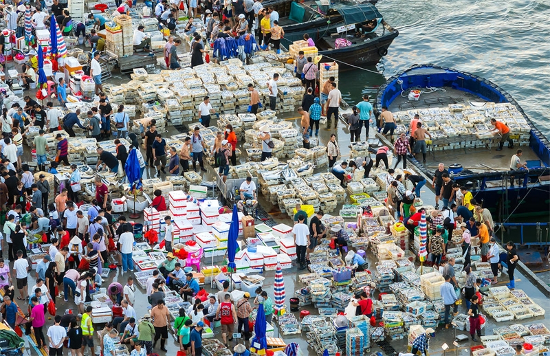 Guangxi : les transactions sur le port et le quai de pêche de Beihai battent leur plein