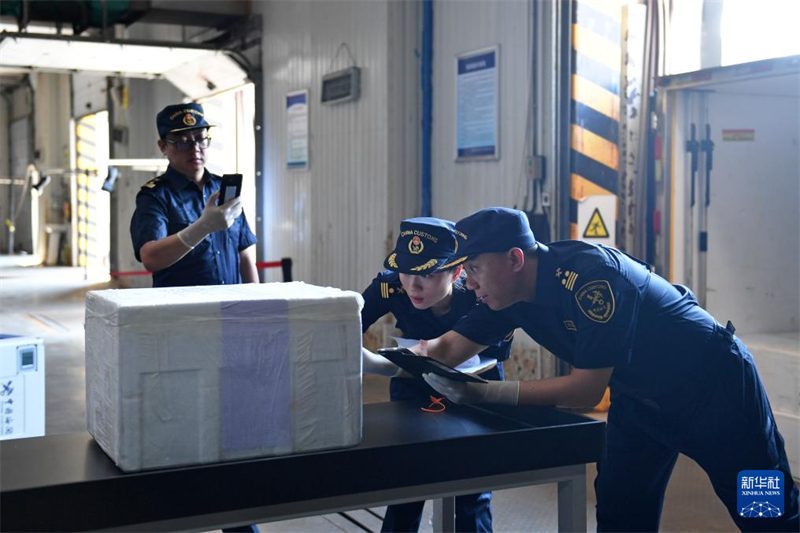 Des douaniers ont inspecté sur place la cargaison de mouton congelé, pesant au total 1 000 kg. (Chen Zhenhai / Xinhua)