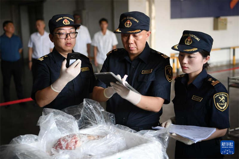 Hunan : une cargaison de mouton congelé de Madagascar dédouanée à Changsha