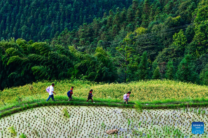 Guizhou : un enseignant unique au service d'une mini-école à Congjiang