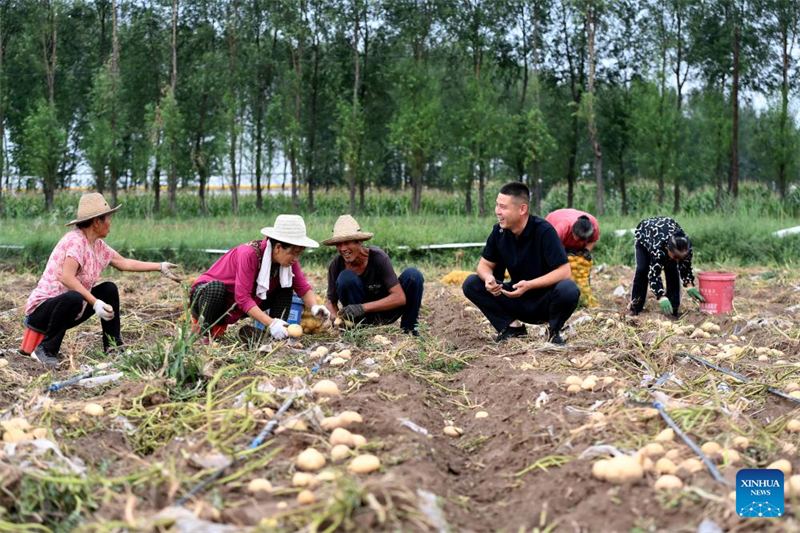 Shanxi : les « nouveaux agriculteurs » apportent de la vitalité à l'agriculture moderne à Wenshui