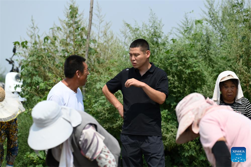 Shanxi : les « nouveaux agriculteurs » apportent de la vitalité à l'agriculture moderne à Wenshui