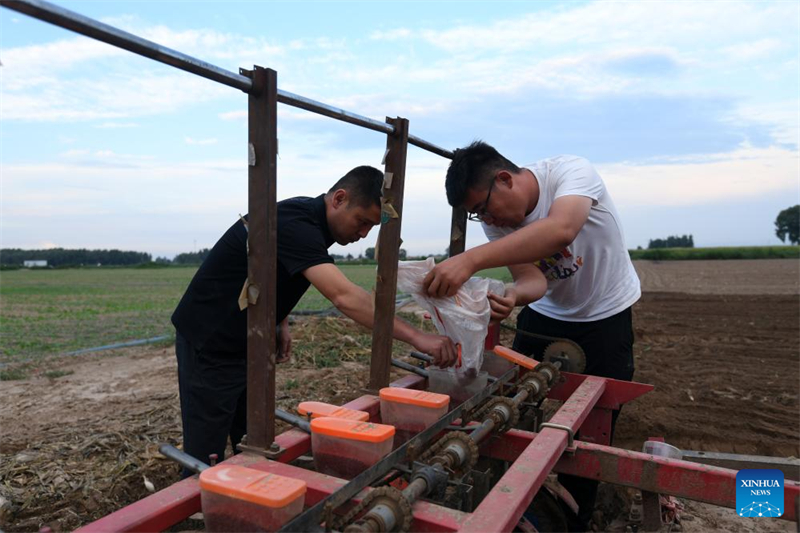 Shanxi : les « nouveaux agriculteurs » apportent de la vitalité à l'agriculture moderne à Wenshui