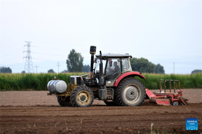 Shanxi : les « nouveaux agriculteurs » apportent de la vitalité à l'agriculture moderne à Wenshui