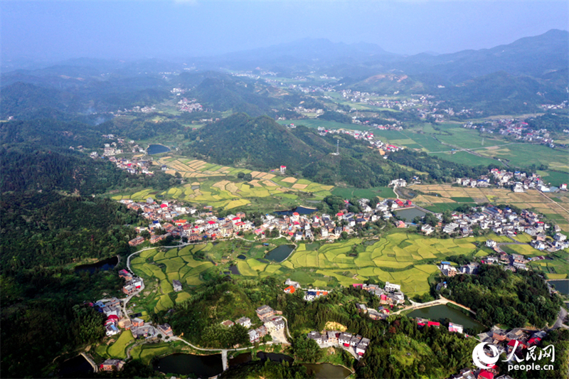 Jiangxi : une belle image des récoltes d'automne dans les villages de montagne de Shangli