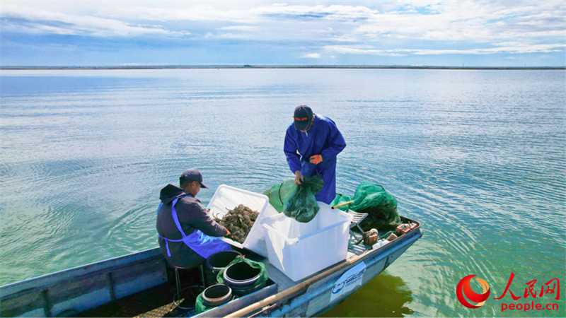 Xinjiang : la pêche aux crabes a commencé à Beitun