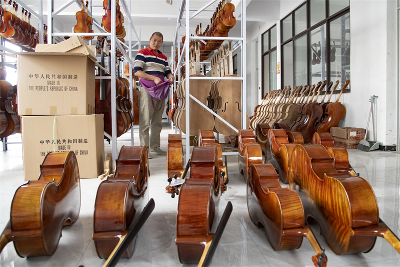 Henan : les luthiers de Queshan mettent les bouchées doubles pour honorer les commandes de violoncelles d'exportation