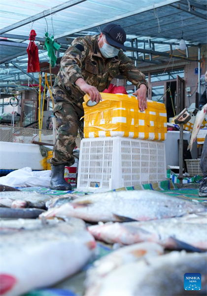 Heilongjiang : le marché aux poissons d'eau douce de Dongji à Fuyuan