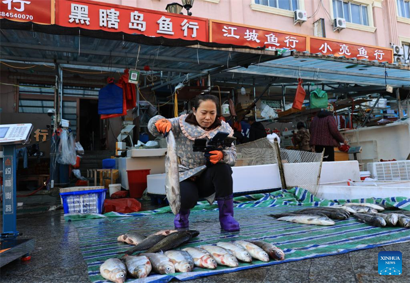 Heilongjiang : le marché aux poissons d'eau douce de Dongji à Fuyuan