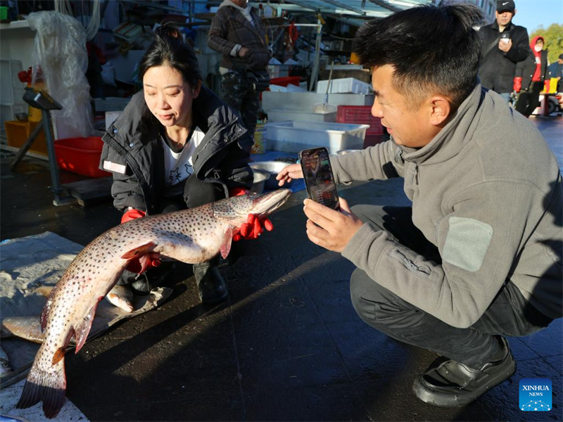 Heilongjiang : le marché aux poissons d'eau douce de Dongji à Fuyuan