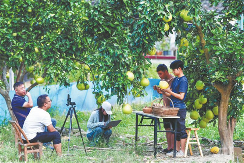 Les charmes des campagnes chinoises suscitent un attrait croissant en ligne