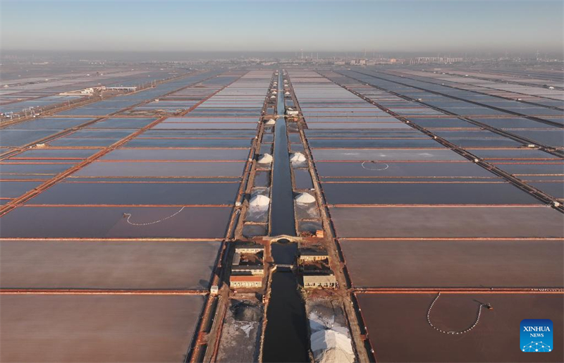 Hebei : la récolte du sel dans les salines de Nanpu à Tangshan