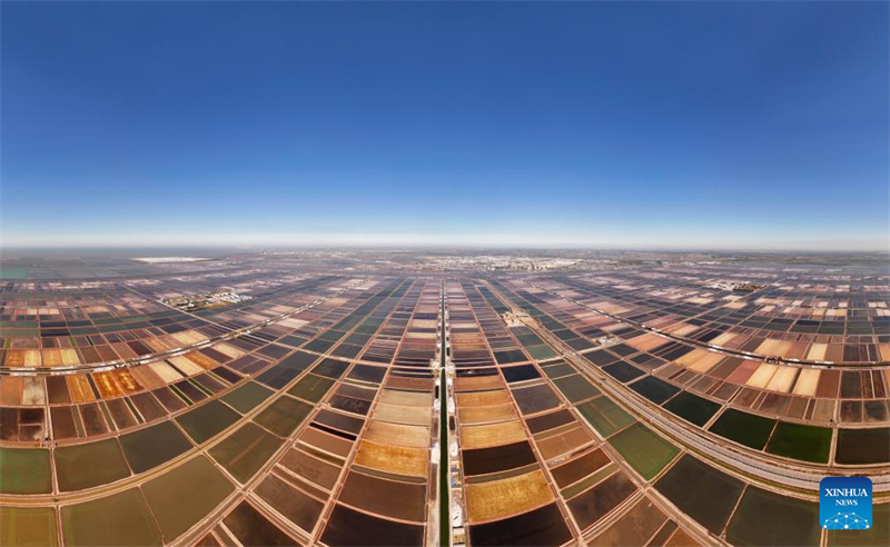 Hebei : la récolte du sel dans les salines de Nanpu à Tangshan