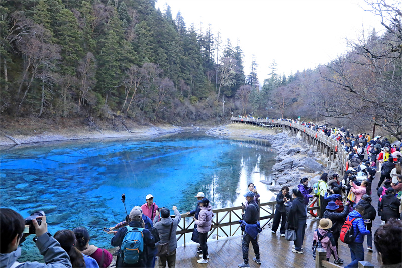 Sichuan : les paysages d'automne pittoresques de Jiuzhaigou envoûtent les touristes