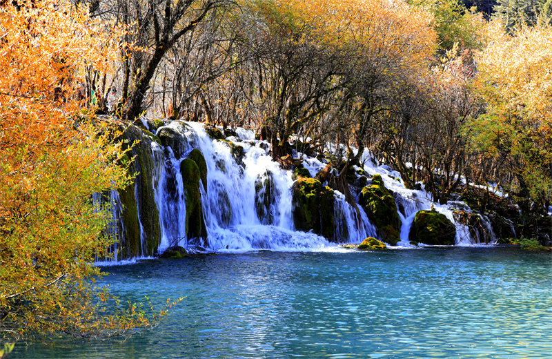 Sichuan : les paysages d'automne pittoresques de Jiuzhaigou envoûtent les touristes