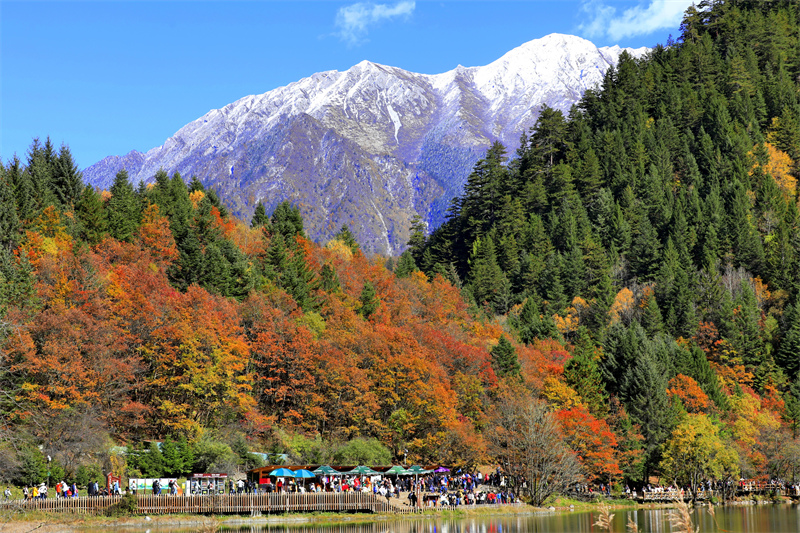 Sichuan : les paysages d'automne pittoresques de Jiuzhaigou envoûtent les touristes