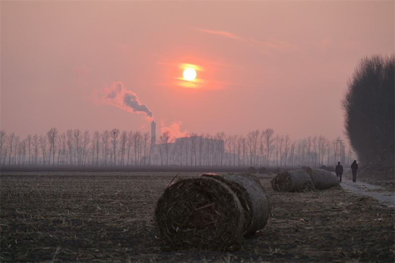 Heilongjiang : la récolte de céréales d'automne est séchée et stockée dans les entrepôts