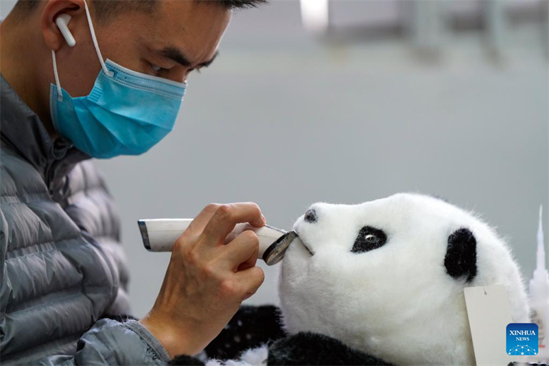 Les jouets innovants chinois sur le thème du panda populaires dans le monde entier