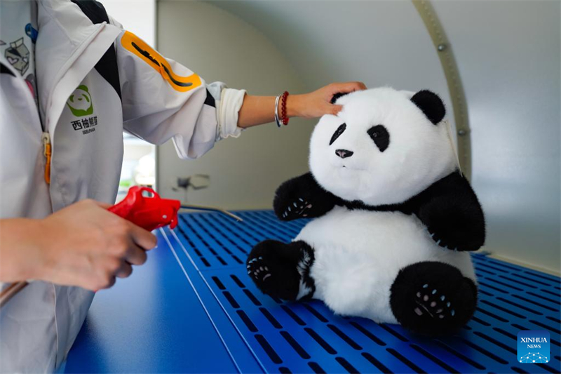 Les jouets innovants chinois sur le thème du panda populaires dans le monde entier