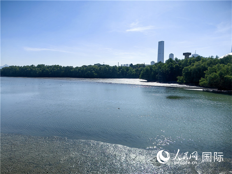 Guangdong : des journalistes chinois et étrangers découvrent le corridor écologique de la rivière Dasha, une nouvelle carte de visite pour le développement écologique vert de Shenzhen