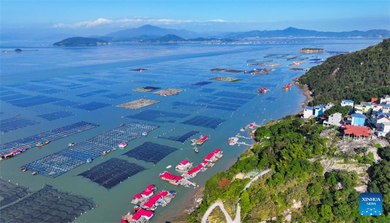 Fujian : la vie d'un facteur dévoué sur une route postale maritime unique