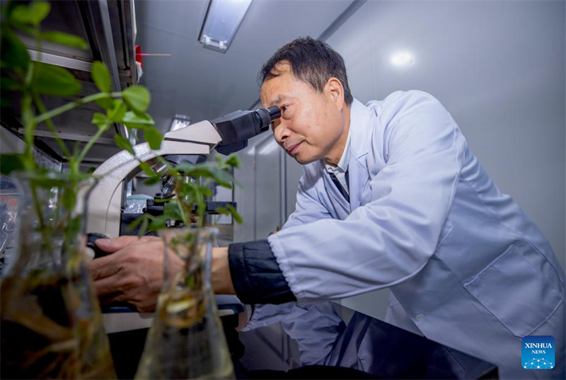 Ningxia : un professeur d'université engagé dans la transformation des terres salines-alcalines en terres arables