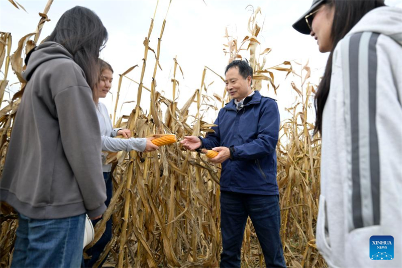 Ningxia : un professeur d'université engagé dans la transformation des terres salines-alcalines en terres arables