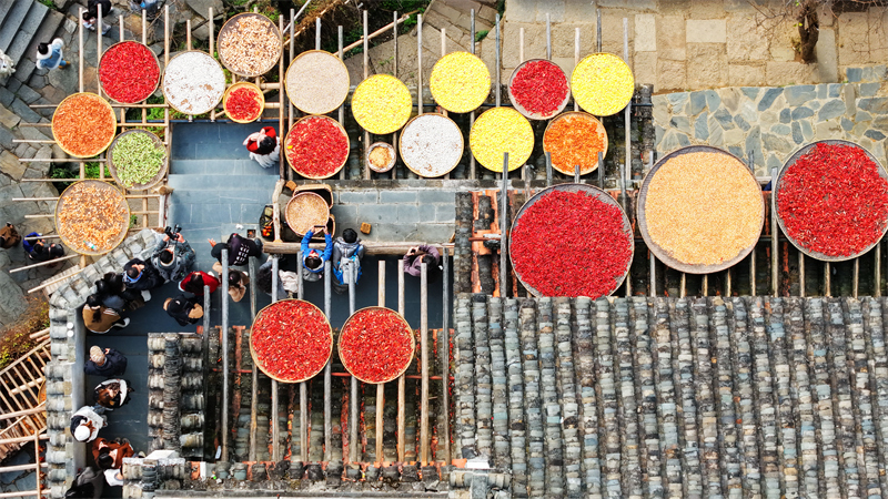 Jiangxi : le séchage des cultures au soleil dans le village de Huangling