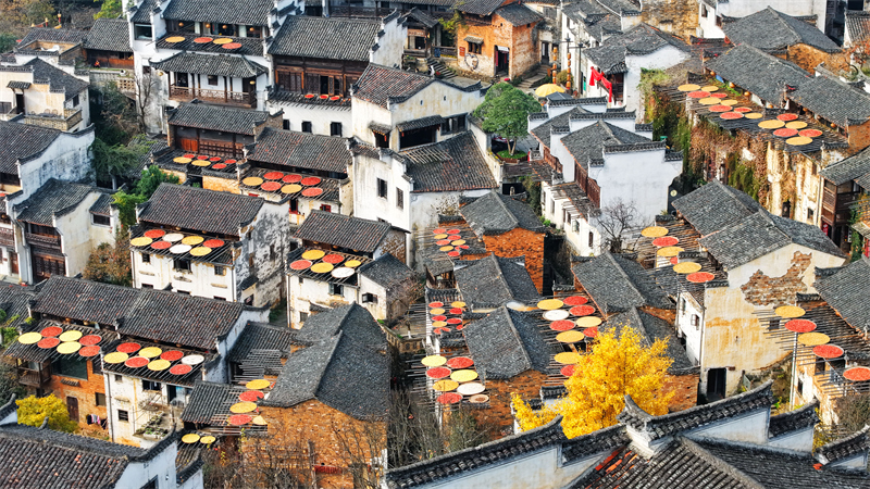 Jiangxi : le séchage des cultures au soleil dans le village de Huangling