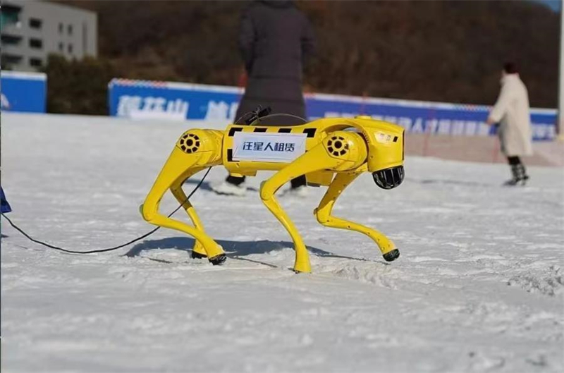 Un chien robot dans la Station de ski de Lianhuashan, à Changchun, capitale de la province chinoise du Jilin (nord-est), le 22 novembre 2024. (Photo : Xinhua)