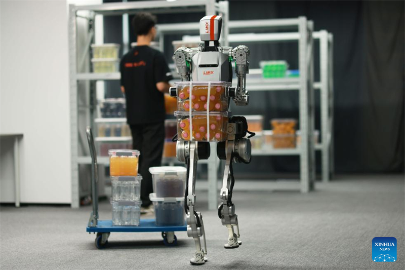 Le développement des robots humanoïdes prospère dans la région de la Grande Baie Guangdong-Hong Kong-Macao