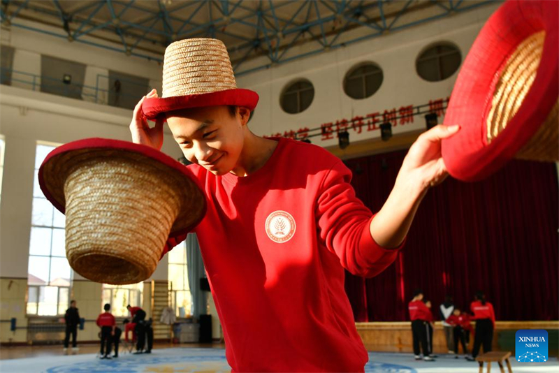 Hebei : les acrobaties traditionnelles de Wuqiao