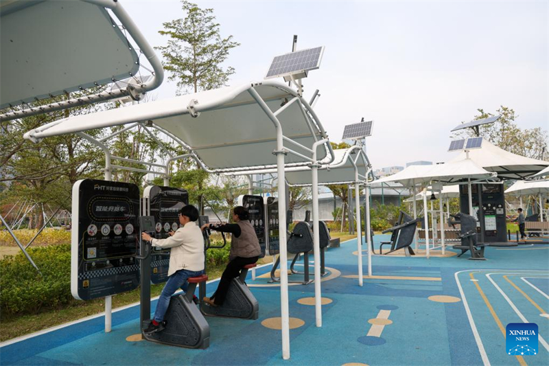 Des gens font de l'exercice avec des dispositifs de fitness intelligents dans un parc de Shenzhen, dans la province du Guangdong (sud de la Chine), le 27 décembre 2024. (Photo / Xinhua)