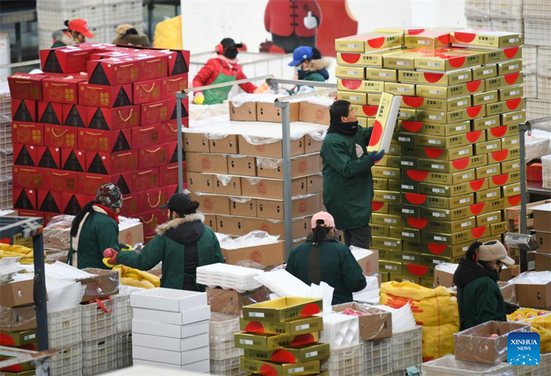 Des membres du personnel travaillent sur une chaîne de production dans une entreprise de fruits du comté de Luochuan, dans la province du Shaanxi (nord-ouest de la Chine), le 6 janvier 2025. (Photo / Xinhua)