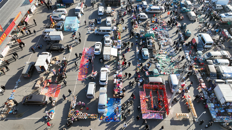 Liaoning : le grand marché Puhe de Shenyang déborde d'activité pour célébrer la fête du Printemps