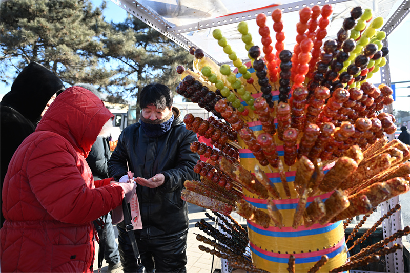 Liaoning : le grand marché Puhe de Shenyang déborde d'activité pour célébrer la fête du Printemps