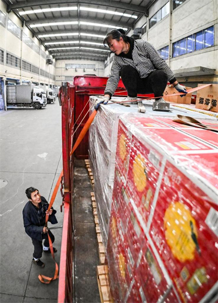 Le long voyage de retrouvailles en famille d'un couple de routiers pour la Fête du Printemps