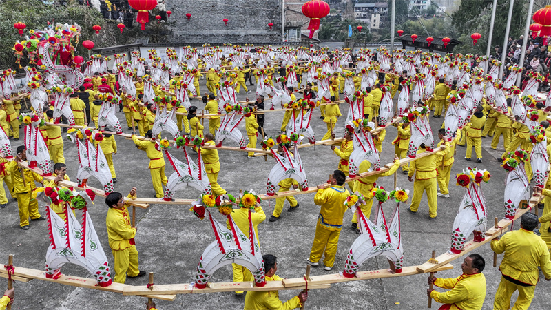 Zhejiang : les villageois d'Anshan exécutent une danse du dragon de planches pour célébrer la fête du Printemps