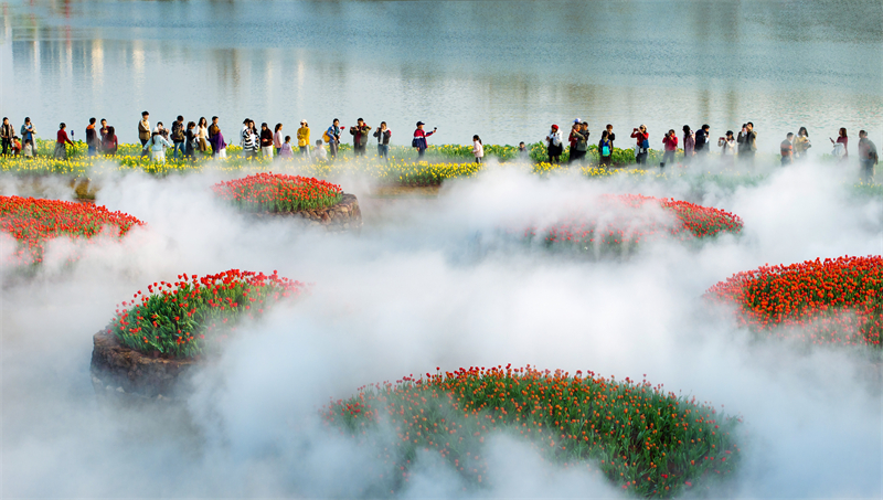 Guangxi : les touristes séduits par la mer de fleurs du mont Qingxiu à Nanning