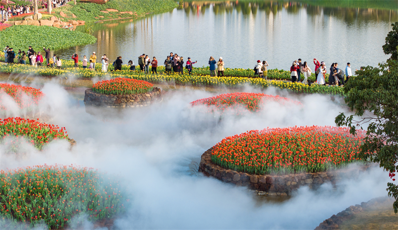 Guangxi : les touristes séduits par la mer de fleurs du mont Qingxiu à Nanning