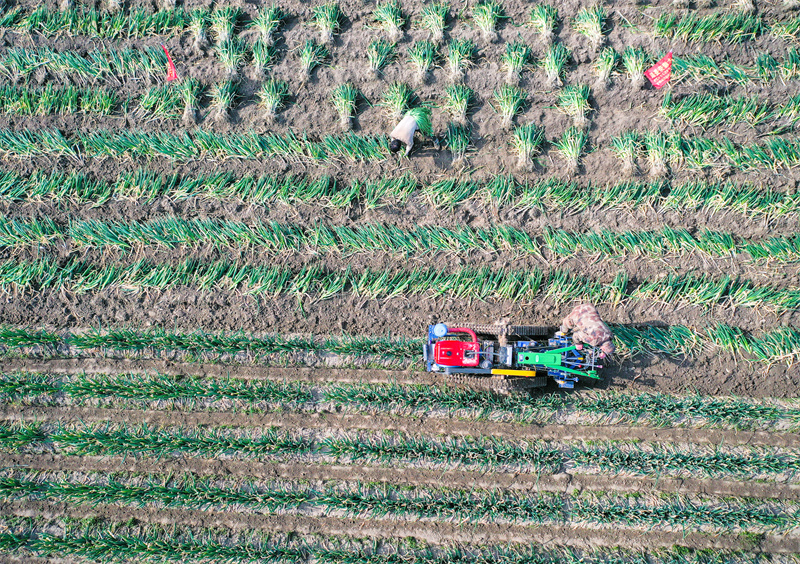 Jiangsu : les agriculteurs se préparent pour les travaux agricoles du début de printemps à Rugao