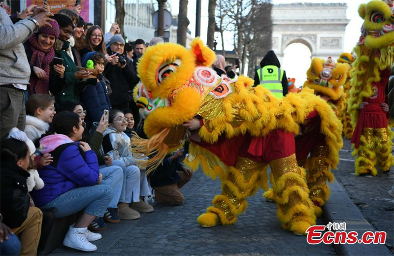 En photos : le Nouvel An chinois célébré à Paris