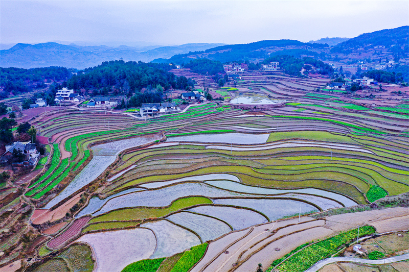 Guizhou : les champs en terrasses aménagés pour stocker l'eau et préparer les cultures de printemps