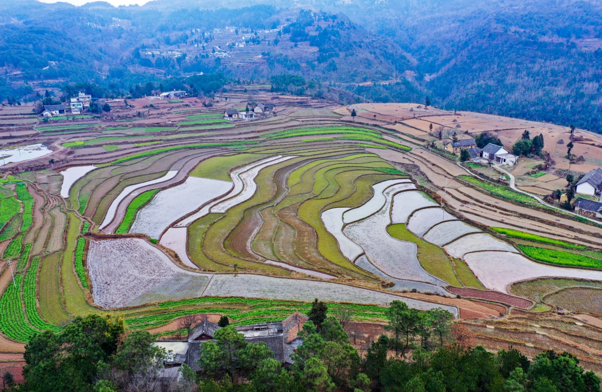 Guizhou : les champs en terrasses aménagés pour stocker l'eau et préparer les cultures de printemps