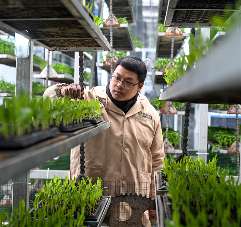 Sichuan : la préparation des semis pour les labours de printemps à Peng'an