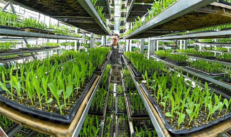 Sichuan : la préparation des semis pour les labours de printemps à Peng'an